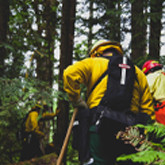 We've Partnered with American Forests to Plant 10,000 Trees