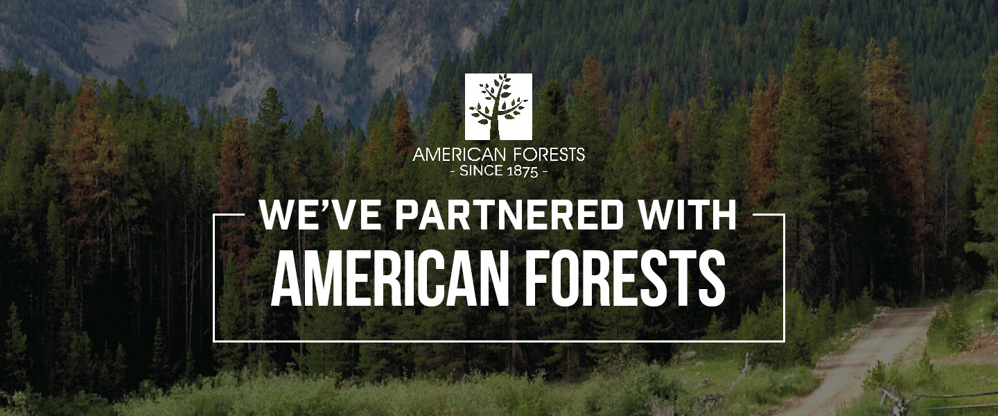 Blog_AmericanForests_Hero