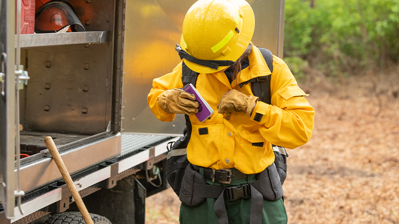 Women's Wildland Brush Shirt