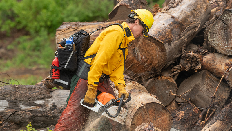 New Wildland Packs