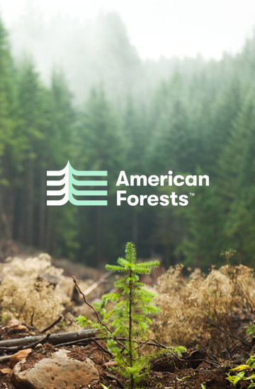 American Forest