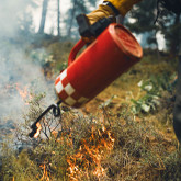 The Crucial Role of Controlled Burns in Wildfire Prevention