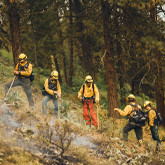 Honoring Our Heroes on Wildland Firefighter Appreciation Day