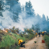 Fire Watch: July 2023