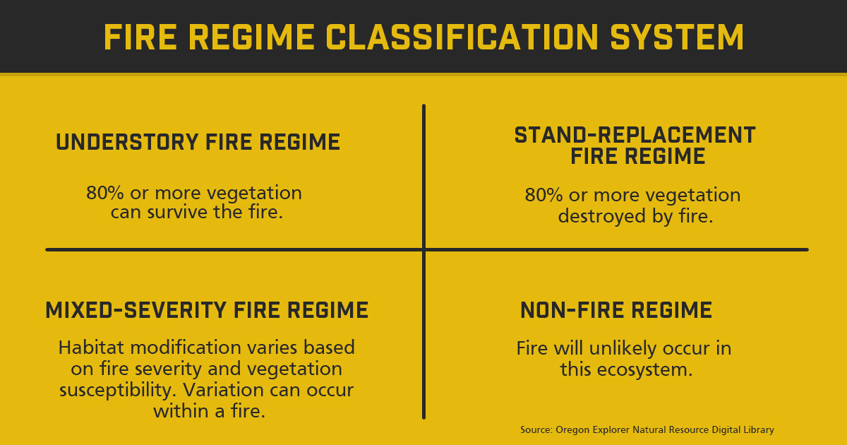 Fire Regime Classification System