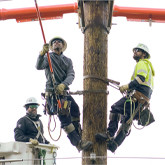 5 Lineworker Career Path Opportunities in the Electrical Industry