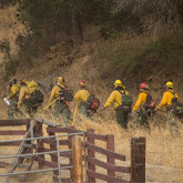 A Guide to Becoming a Wildland Firefighter: Steps to Start Your Career