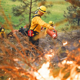 Cultural Burning Practices: The Importance of Good Fire