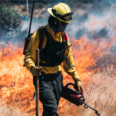 2025 Wildland Fire Predictions: What We Can Expect This Fire Season