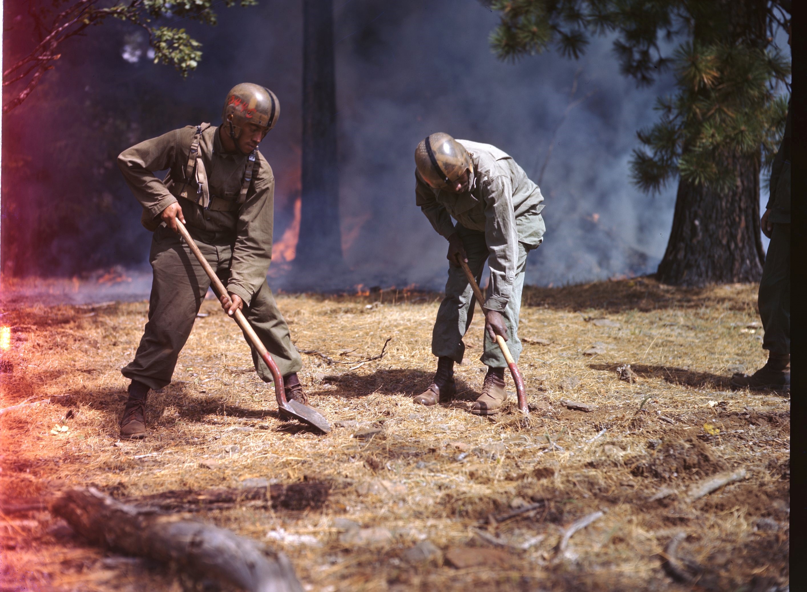 555th Parachute Infantry doing suppression efforts on a forest fire in Umatilla National Forest, Oregon