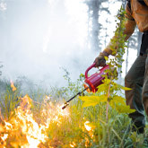 Fire Practitioner vs. Wildland Firefighter: Understanding the Differences