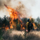 The Science Behind Wildfire Behavior
