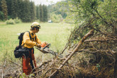 Sierra-Cascade Logging Conference